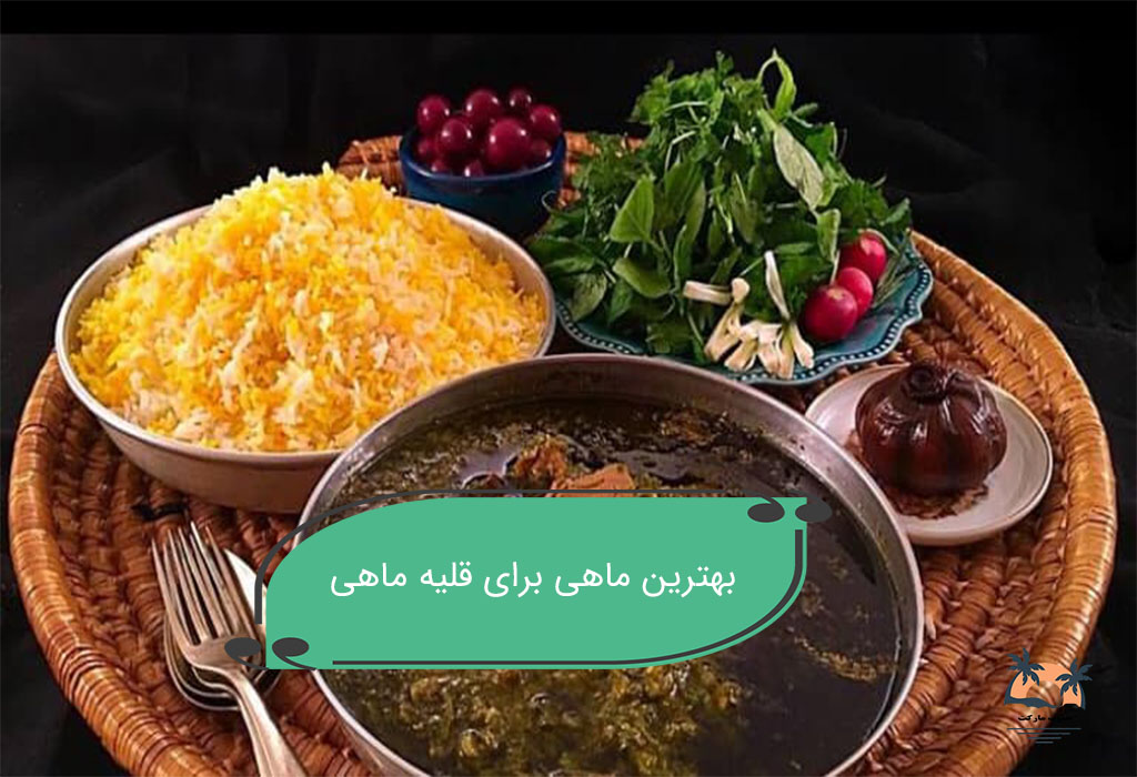 بهترین ماهی برای قلیه ماهی